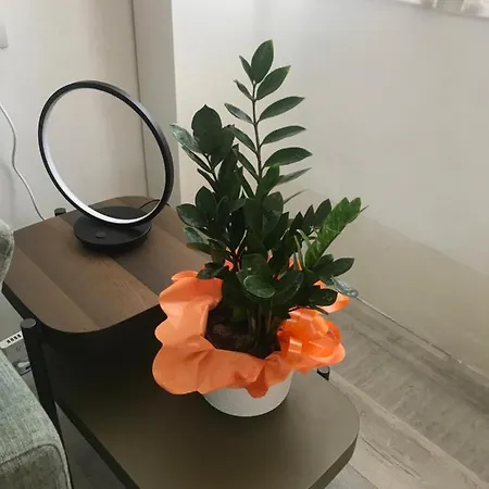 Studio 18 Apartamento *